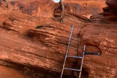 Ladder Along the Corona Arch Trail