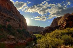 Morning Glory Arch Trail